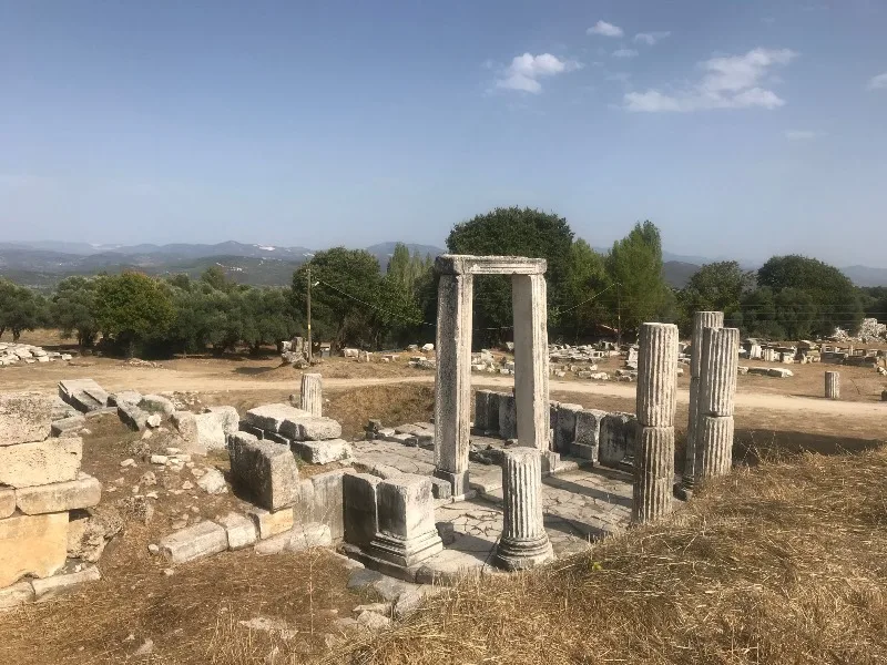 Proolyon Giriş Kapısı